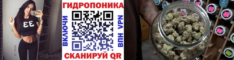 Шишки марихуана план  как найти закладки  Дагестанские Огни 